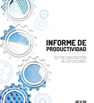 Informe de Productividad - Sector Construcción de Edificaciones