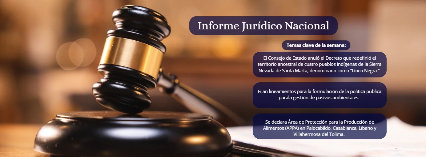 Informe Jurídico de la semana: “Línea Negra”, pasivos ambientales y nuevas APPA en el país.