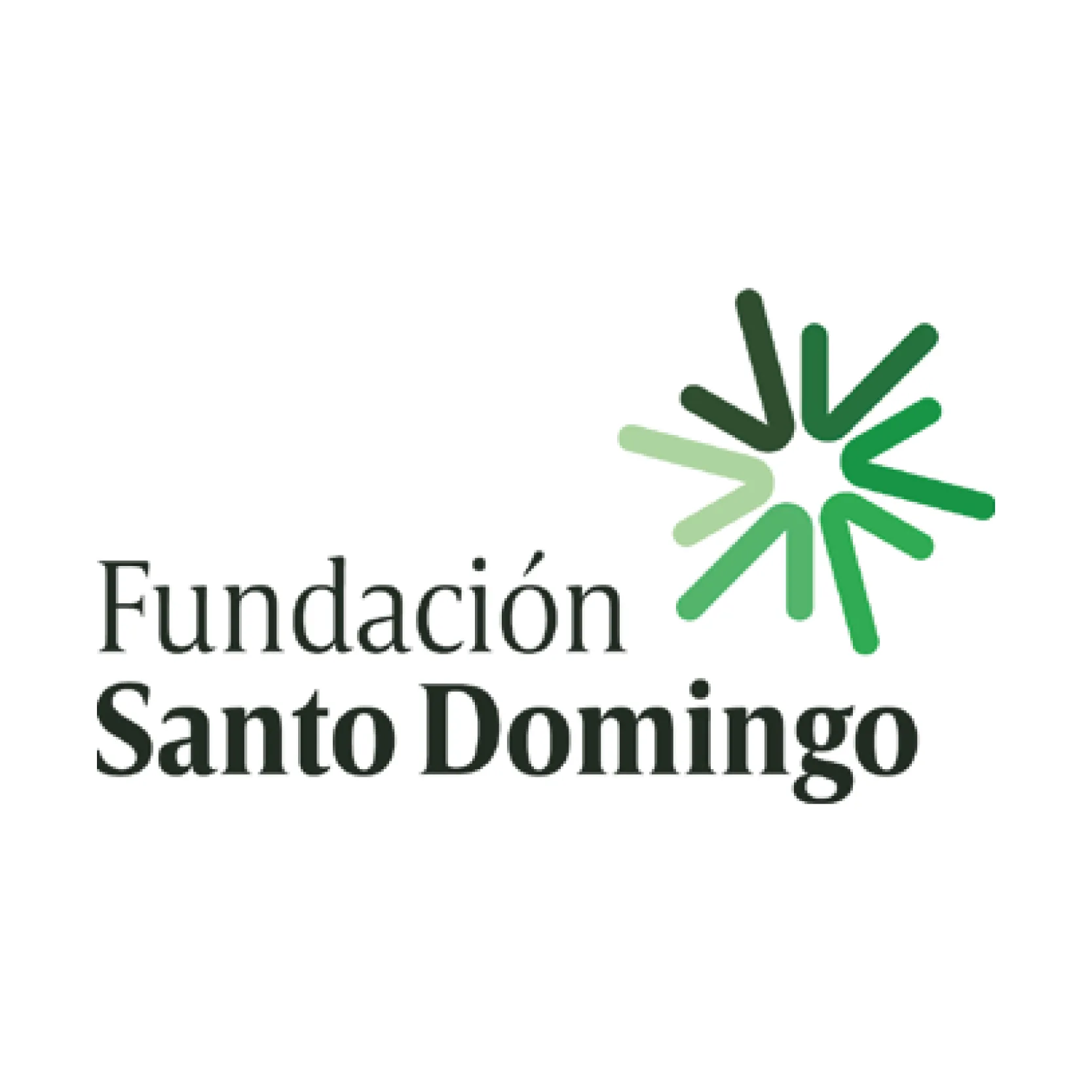 FUNDACION SANTO DOMINGO 