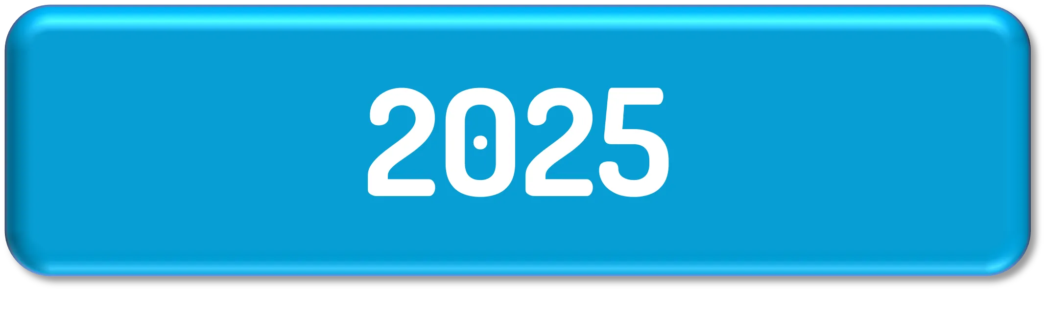 2025