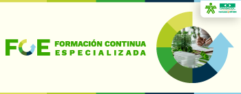 Formación continua especializada