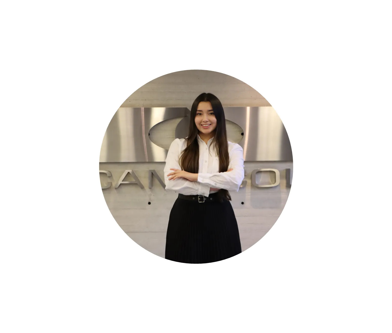 Consultor de negocios