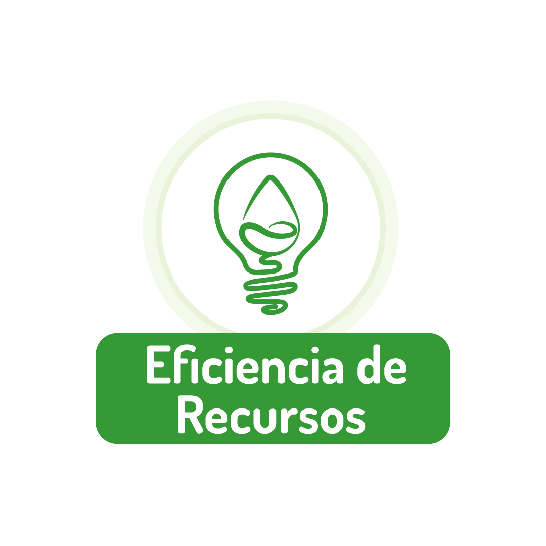 Eficiencia de recursos