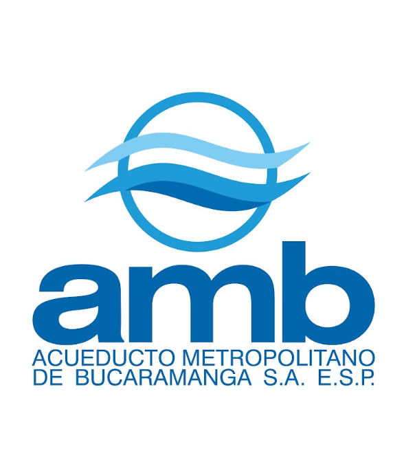 amb