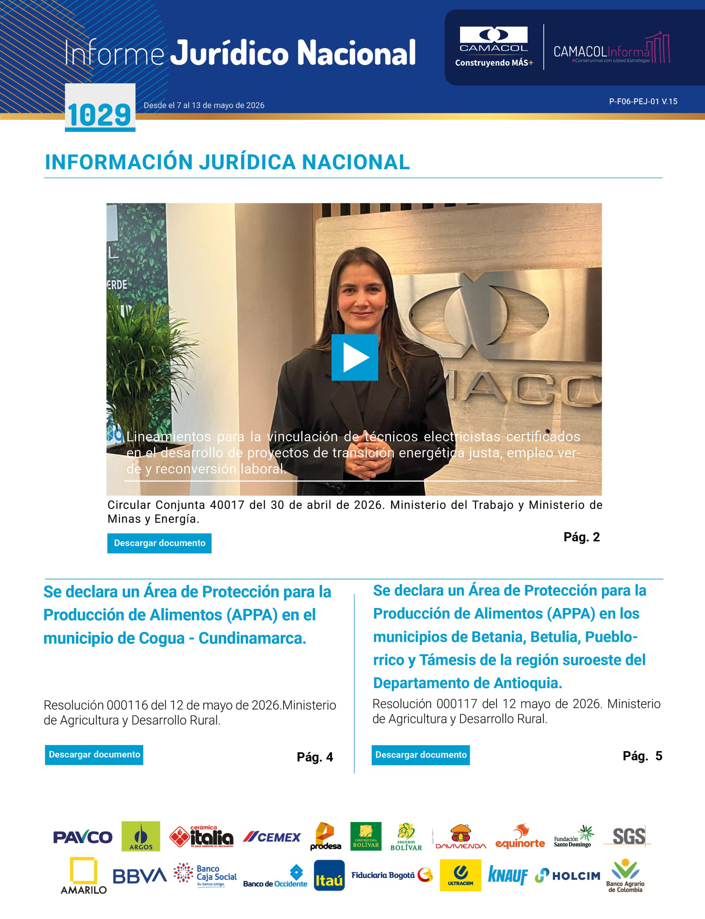 informe juridico 1029