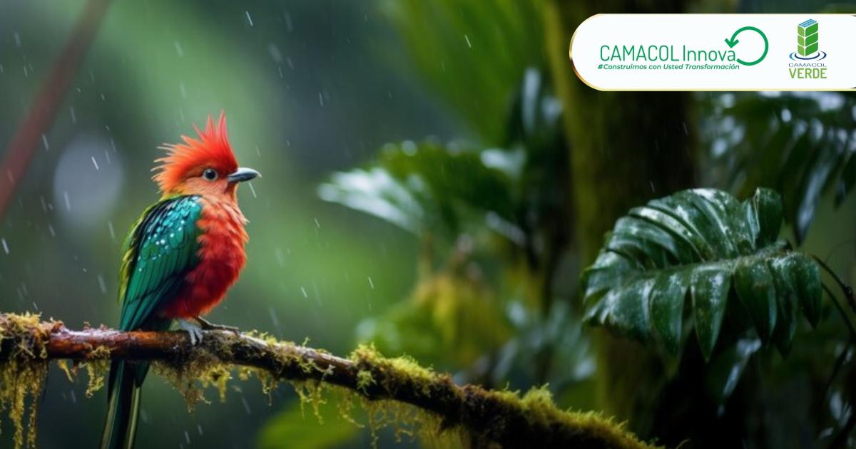 La biodiversidad también está en la agenda de Camacol - Camacol