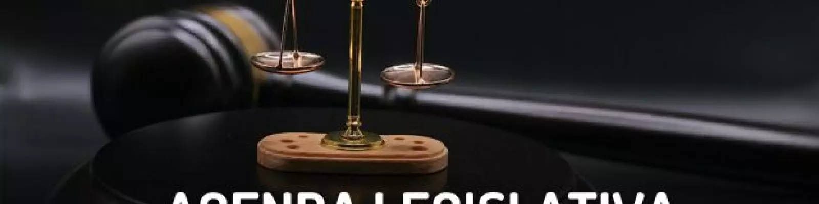 agenda legislativa, vivienda, constructores, Guillermo Herrera, Camacol