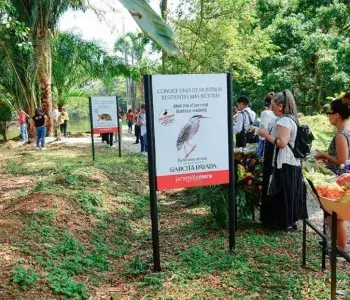 Reconocimiento a iniciativas de responsabilidad social