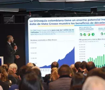 Orinoquía: oportunidad estratégica para el crecimiento de Colombia