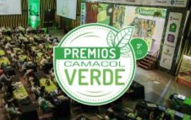 Ver más 
