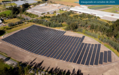 Almacenes Corona impulsa la sostenibilidad industrial con innovación, eficiencia energética y gestión responsable de recursos.