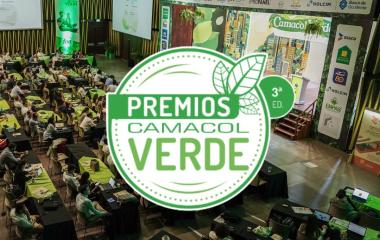 Ver más 