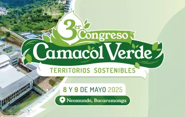 CCV 2025