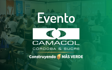 Ver más