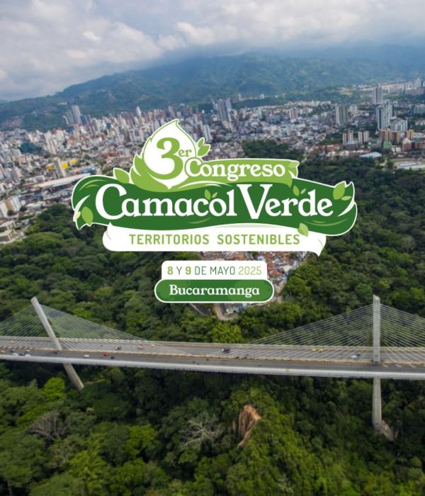 ver más 