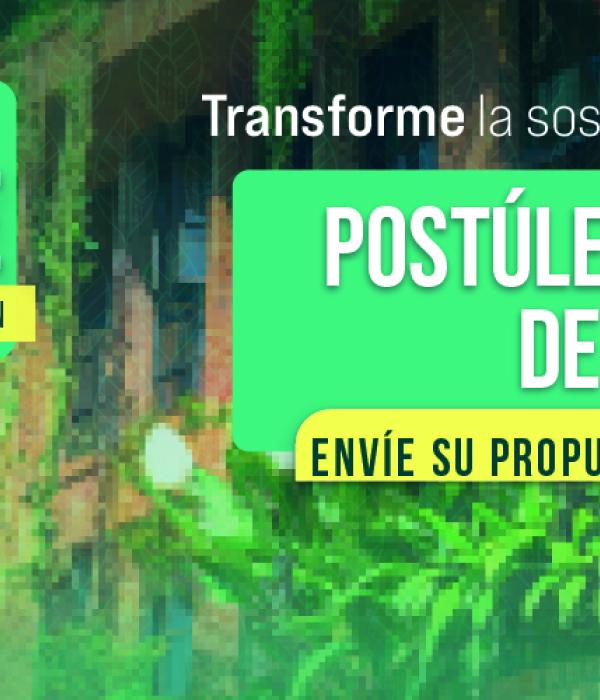 Sea protagonista de la transformación sostenible