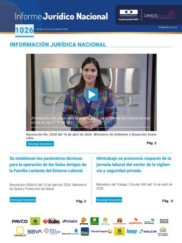 Informe juridico 1026