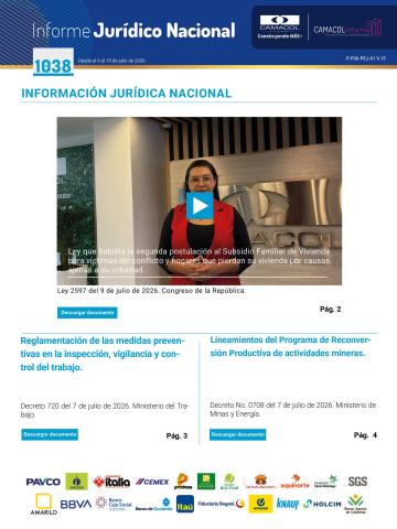 Informe Jurídico 1038