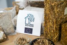 Camacol Santander: representante para Latinoamérica de iniciativa sostenible europea